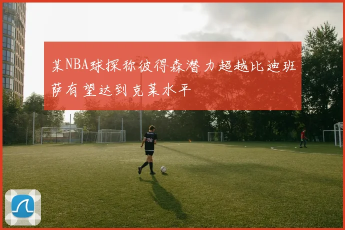 某NBA球探称彼得森潜力超越比迪班萨有望达到克莱水平